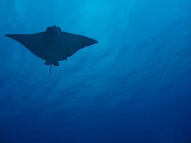 2011-03-24_0097-Small