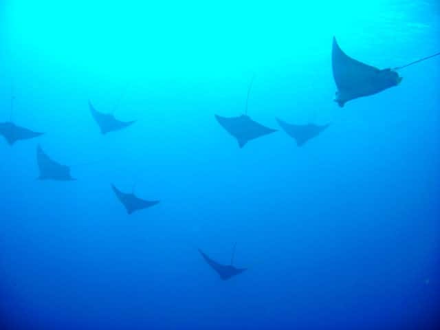 2011-03-24_0109-Small