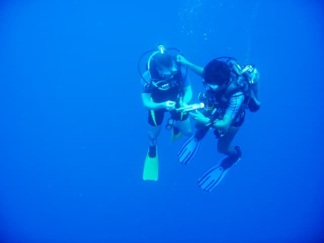 2011-07-15_0873-Small