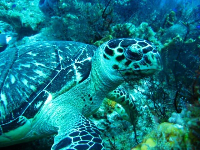 2011-07-28_1053-Small