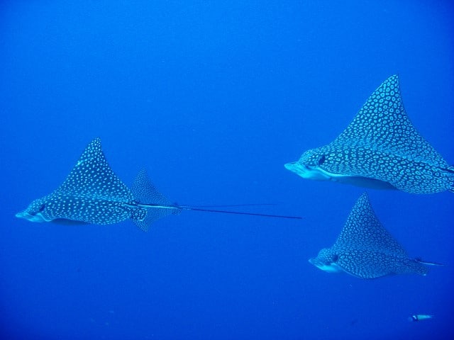 2012-02-17_2254_edited-1-Small