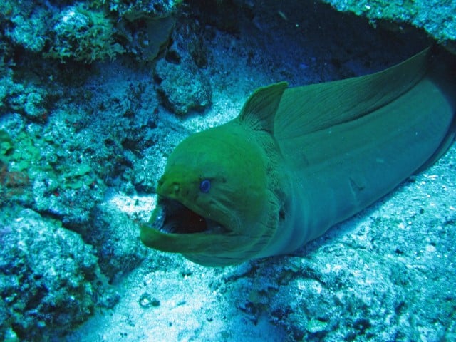 IMG_1089_edited-1-Small