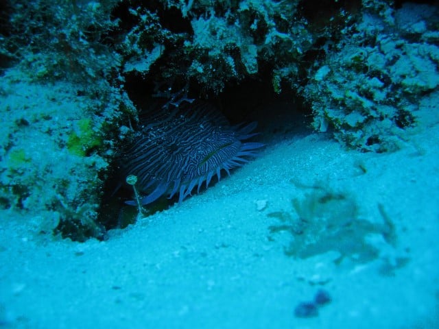 IMG_3501_edited-1-Small