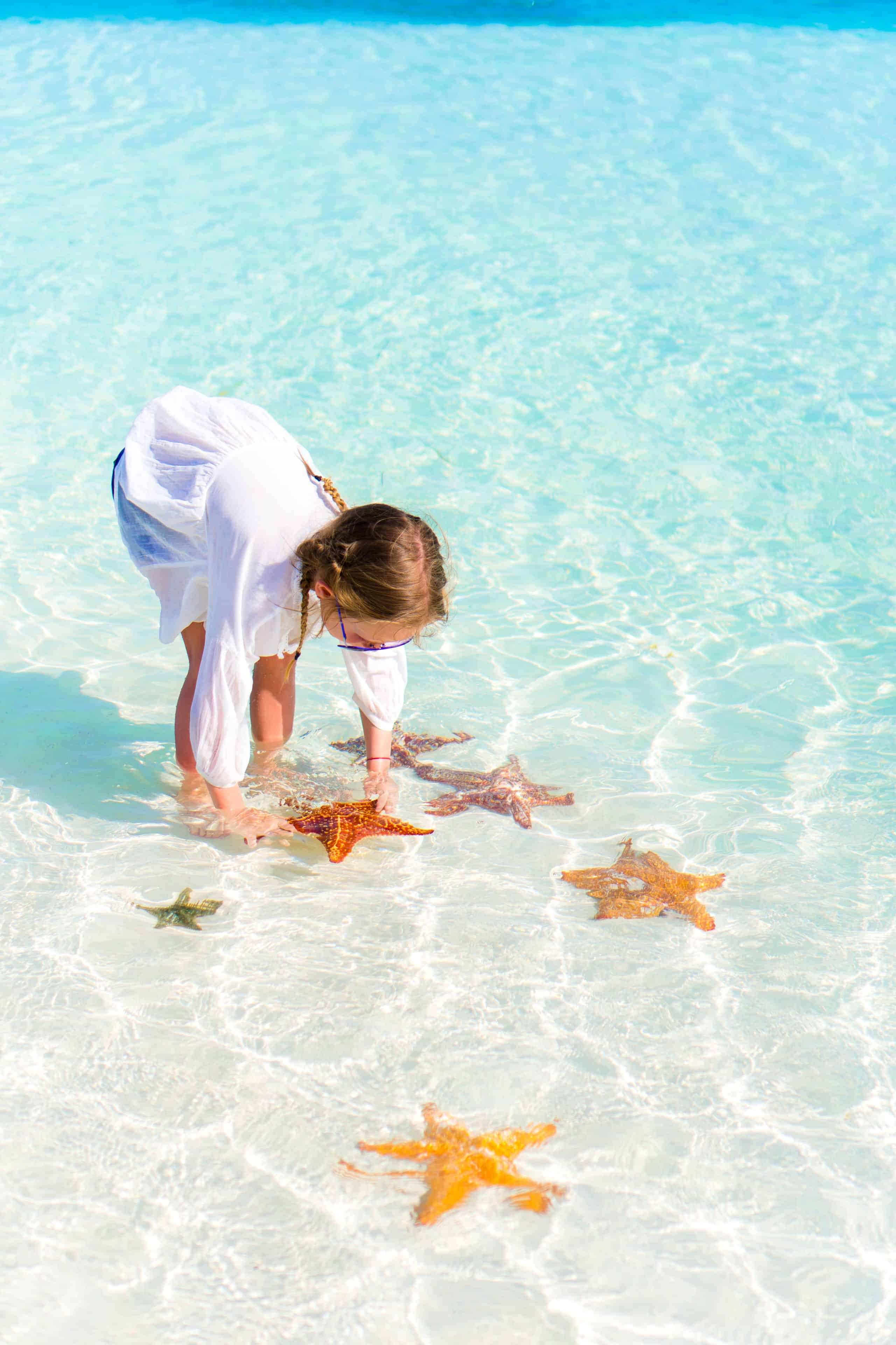 Adorable little girl with starfishes in water at clear water
