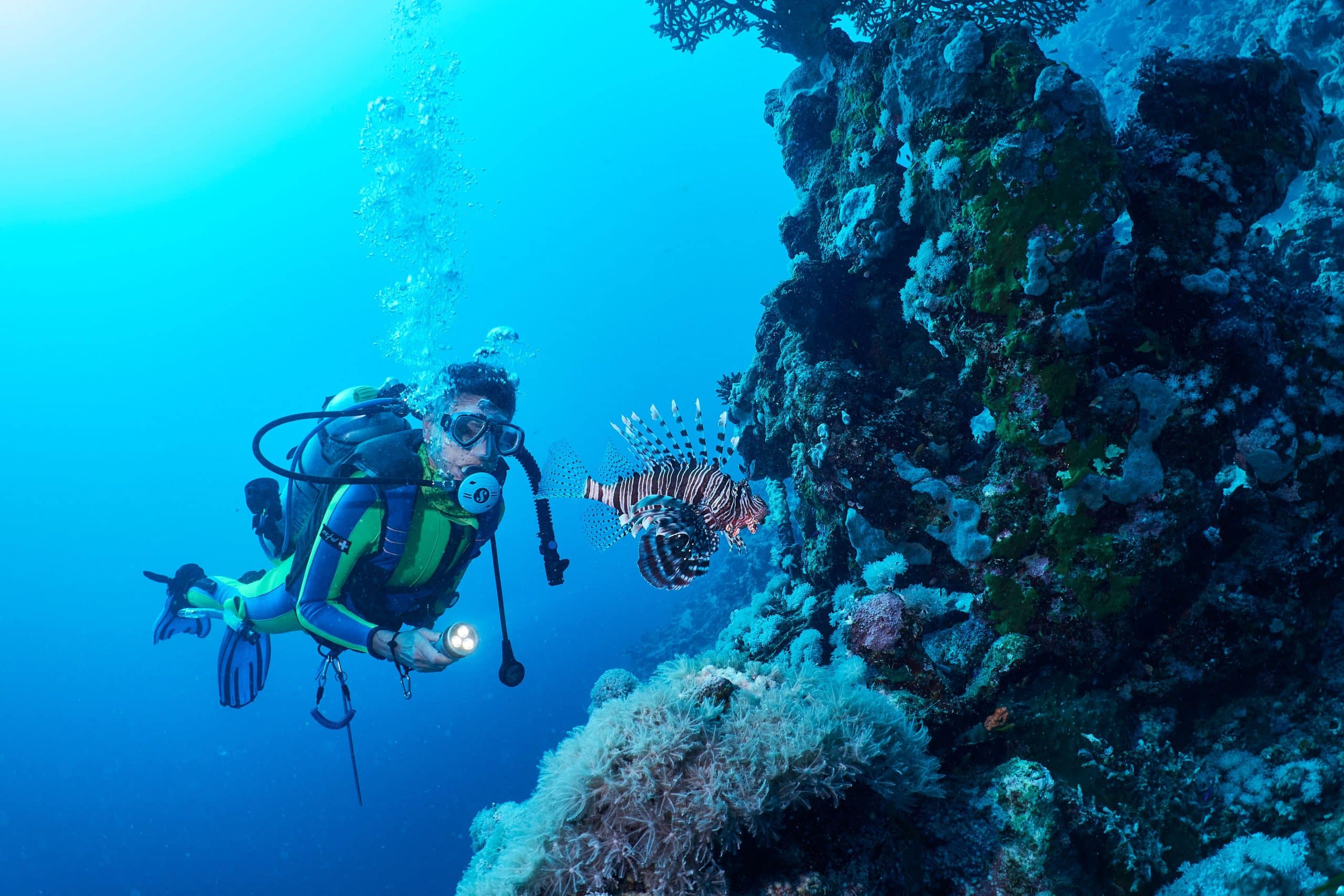 Welcome To Cozumel Mexico