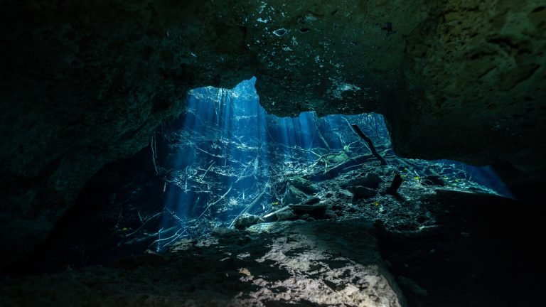 water scape of a cenote taken underwater